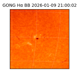 gong - 2026-01-09T21:00:02