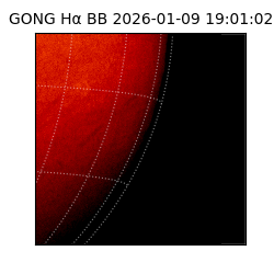 gong - 2026-01-09T19:01:02