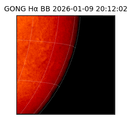 gong - 2026-01-09T20:12:02