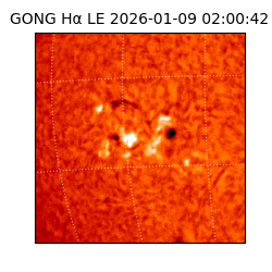 gong - 2026-01-09T02:00:42