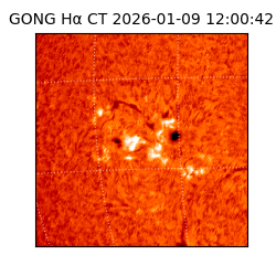 gong - 2026-01-09T12:00:42