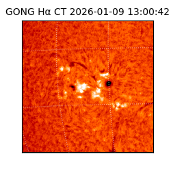 gong - 2026-01-09T13:00:42