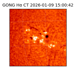 gong - 2026-01-09T15:00:42