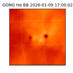 gong - 2026-01-09T17:00:02