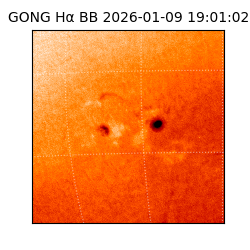 gong - 2026-01-09T19:01:02