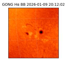 gong - 2026-01-09T20:12:02