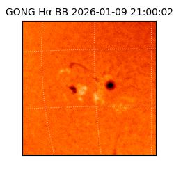 gong - 2026-01-09T21:00:02