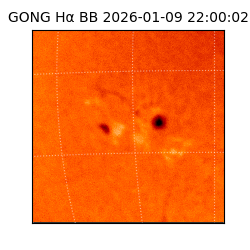 gong - 2026-01-09T22:00:02