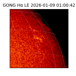 gong - 2026-01-09T01:00:42