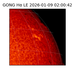 gong - 2026-01-09T02:00:42