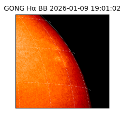 gong - 2026-01-09T19:01:02