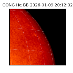 gong - 2026-01-09T20:12:02
