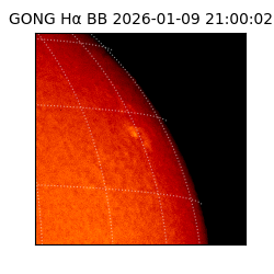 gong - 2026-01-09T21:00:02