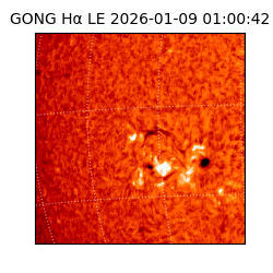 gong - 2026-01-09T01:00:42