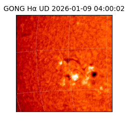 gong - 2026-01-09T04:00:02