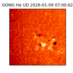 gong - 2026-01-09T07:00:02
