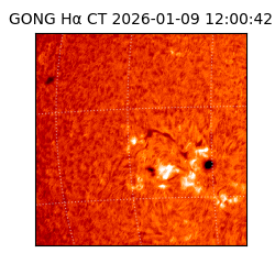 gong - 2026-01-09T12:00:42