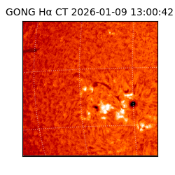 gong - 2026-01-09T13:00:42