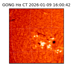 gong - 2026-01-09T16:00:42
