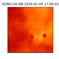 gong - 2026-01-09T17:00:02