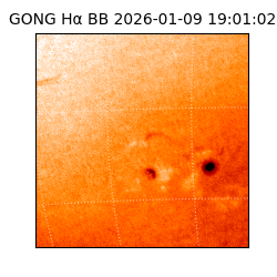 gong - 2026-01-09T19:01:02