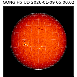 gong - 2026-01-09T05:00:02