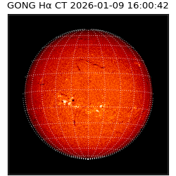 gong - 2026-01-09T16:00:42