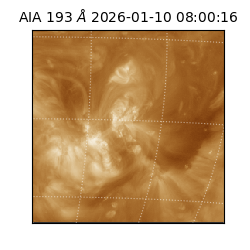 saia - 2026-01-10T08:00:16.843000
