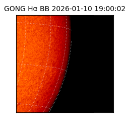 gong - 2026-01-10T19:00:02