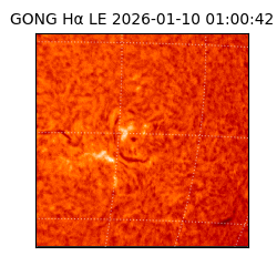 gong - 2026-01-10T01:00:42