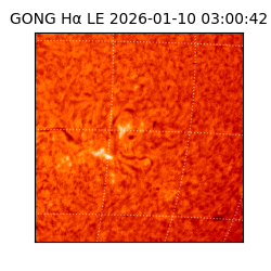 gong - 2026-01-10T03:00:42