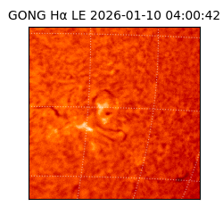 gong - 2026-01-10T04:00:42