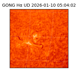 gong - 2026-01-10T05:04:02