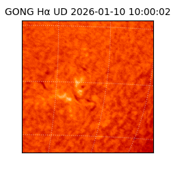 gong - 2026-01-10T10:00:02