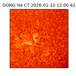 gong - 2026-01-10T12:00:42
