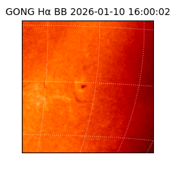 gong - 2026-01-10T16:00:02