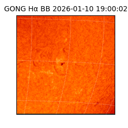 gong - 2026-01-10T19:00:02