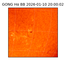 gong - 2026-01-10T20:00:02
