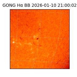 gong - 2026-01-10T21:00:02