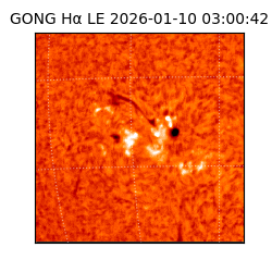 gong - 2026-01-10T03:00:42