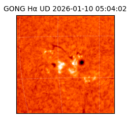 gong - 2026-01-10T05:04:02