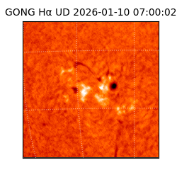 gong - 2026-01-10T07:00:02