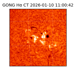 gong - 2026-01-10T11:00:42