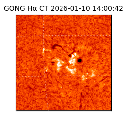 gong - 2026-01-10T14:00:42
