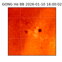 gong - 2026-01-10T16:00:02