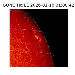 gong - 2026-01-10T01:00:42