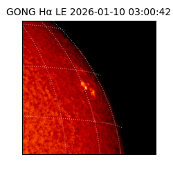 gong - 2026-01-10T03:00:42