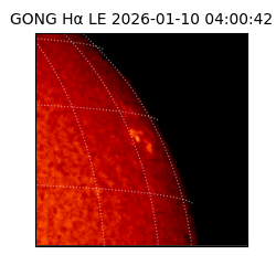 gong - 2026-01-10T04:00:42
