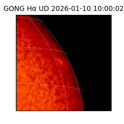 gong - 2026-01-10T10:00:02