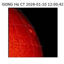 gong - 2026-01-10T12:00:42